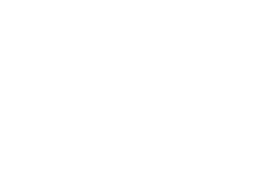PT SUCOFINDO (PERSERO)