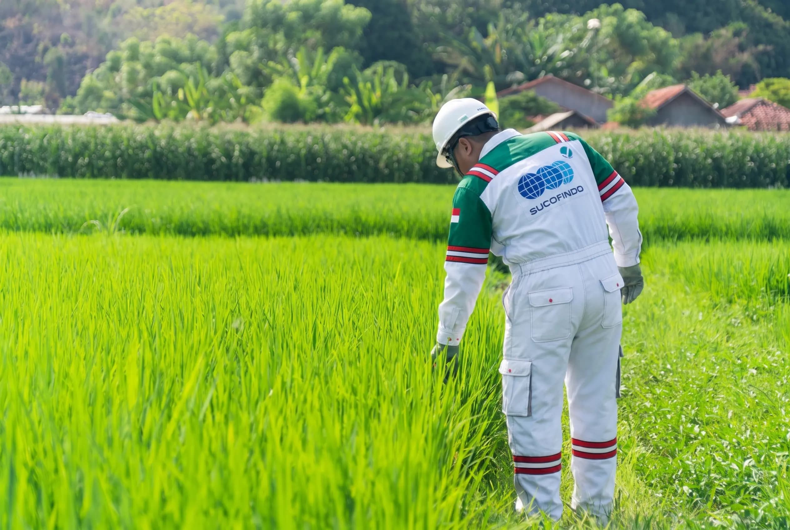 top-agriculture-tic-company-sucofindo